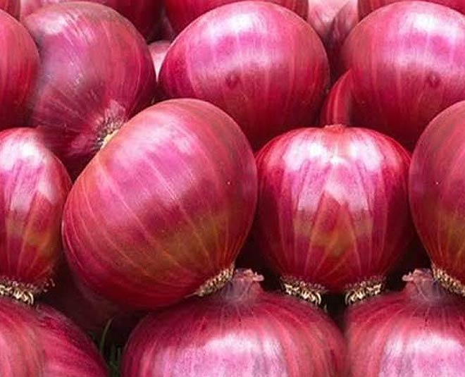 fresh onion from market