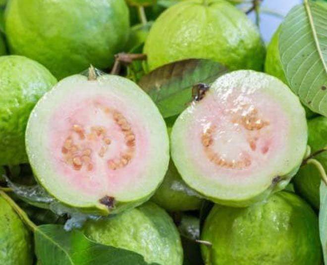 fssai guava benefits