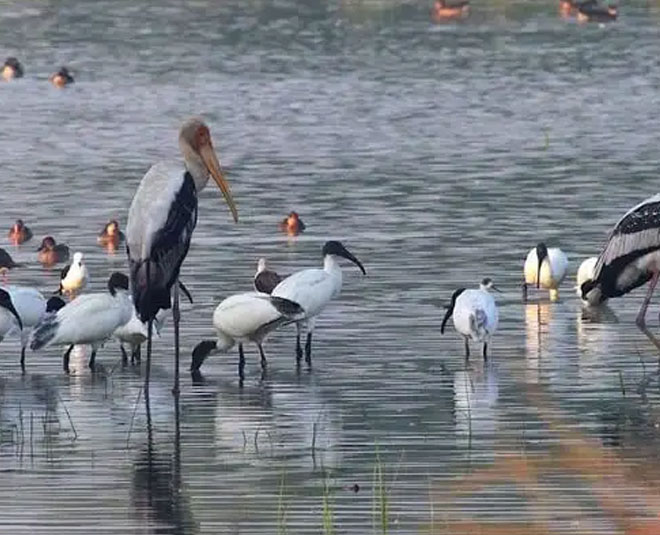 gurugram visit inside