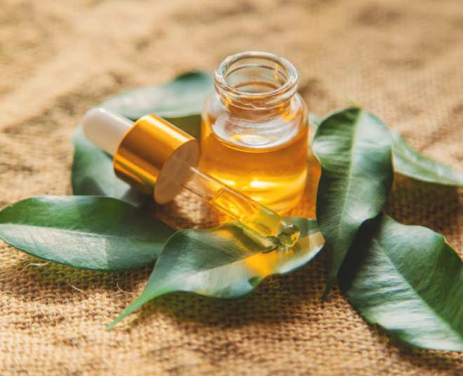 tea tree oil for hair