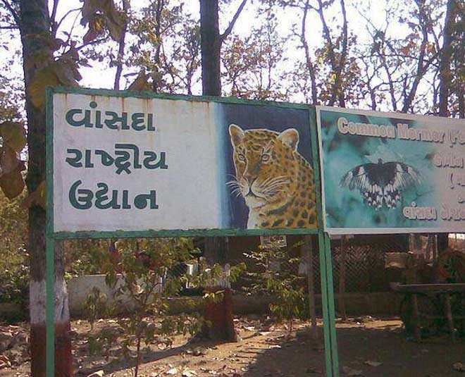 vansda national park