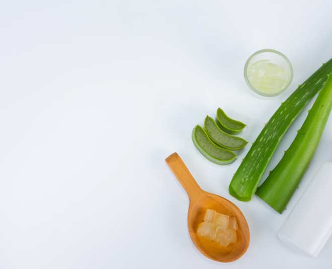 aloe vera skin moisturizer inside