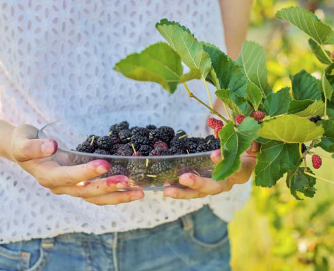 hair health shahtoot