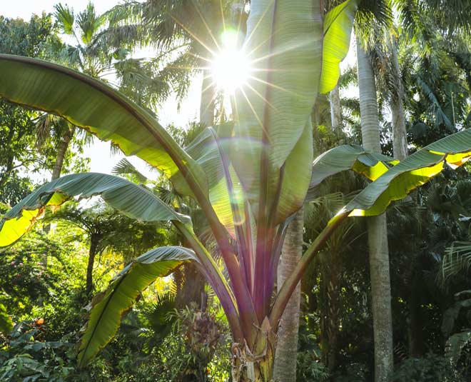 Vedic upay for a stress free married life