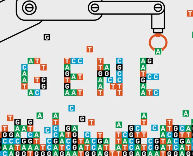 carrier screening test for diseases