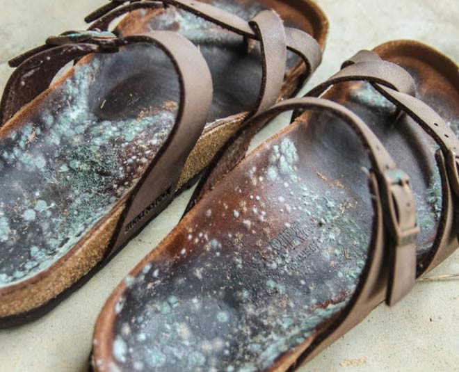 clean leather footwear in rainy season from fungus