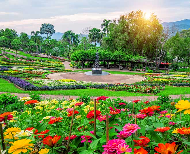 flowers in moon garden