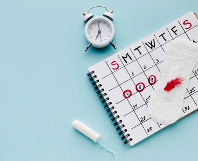 folic acid menopause women health