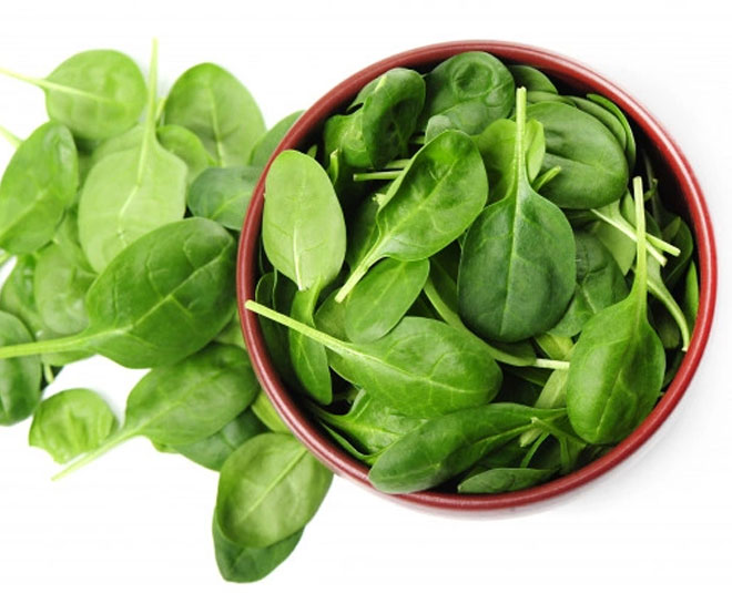 folic acid women health