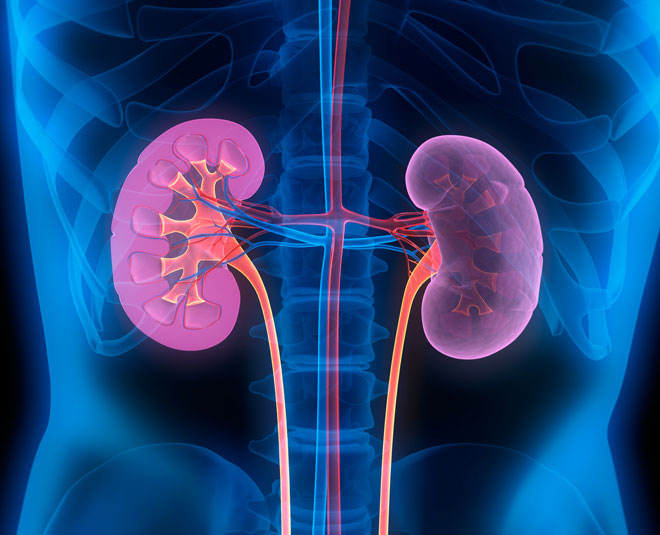 kidney problems in india