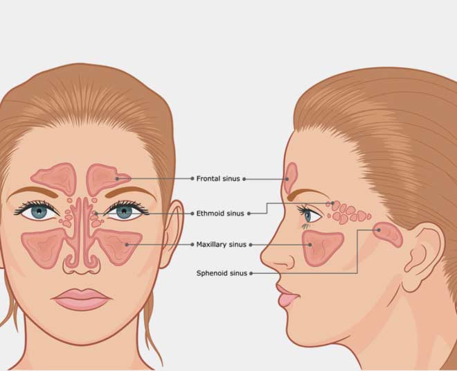 sinus cure and treatments