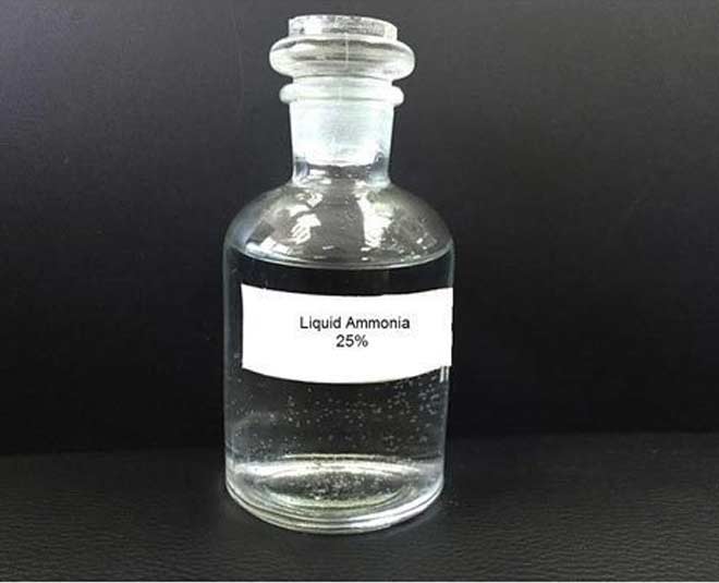 ways to keep snakes away from garden