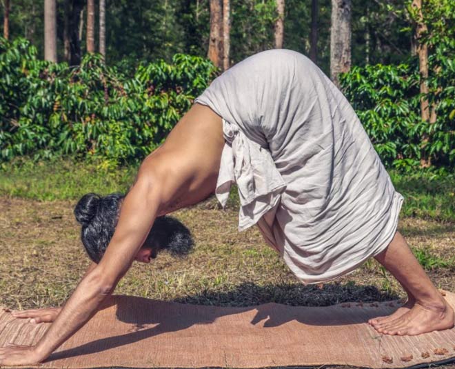adhomukhasana INSIDE