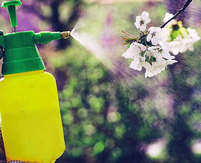 baking soda use in garden