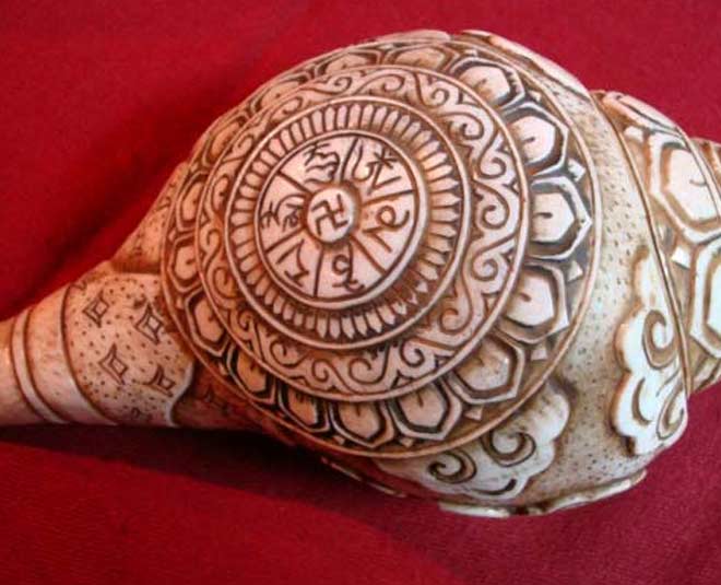 clean shankh conch shell inside and outside inside