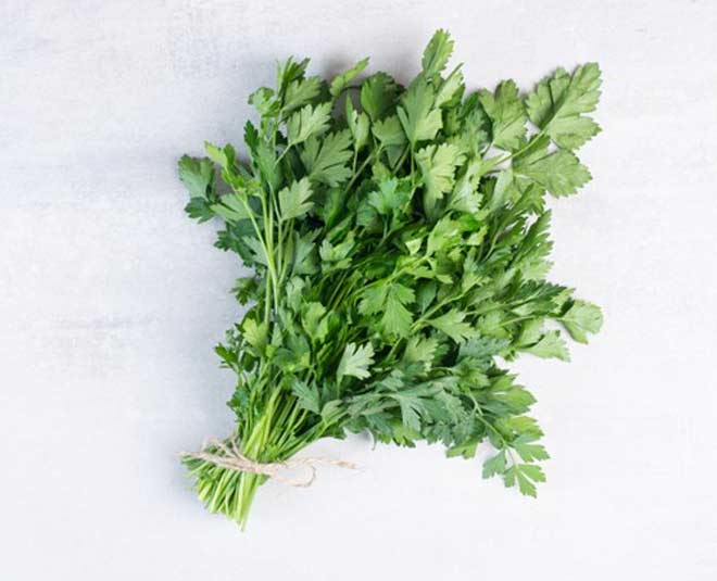 coriander storage