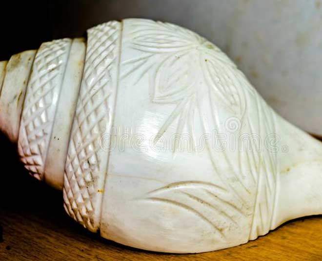 how to clean shankh conch shell in