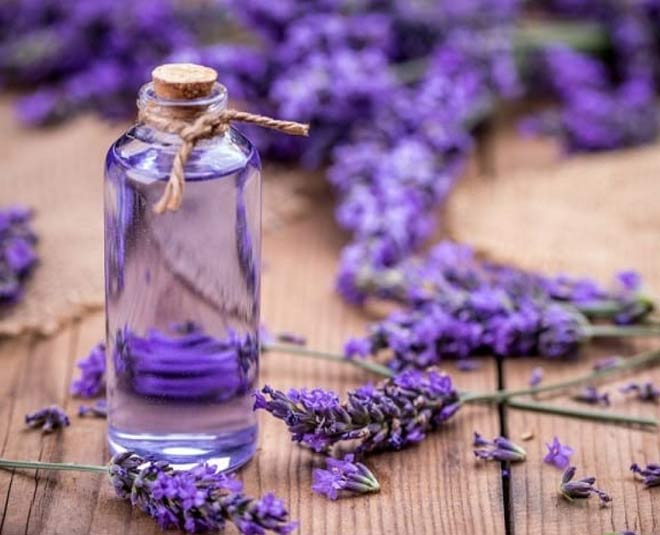 how to get rid of stink bug in storeroom inside