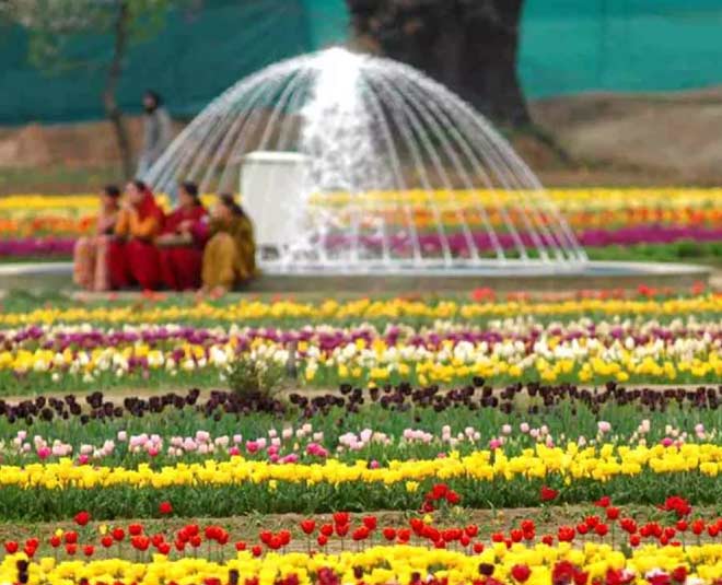 manasbal lake in jammu kashmir inside