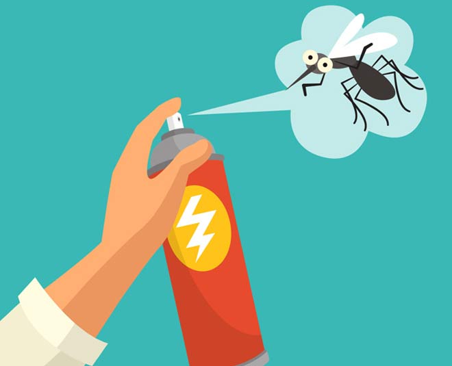 neem leaf natural bugs spray inside