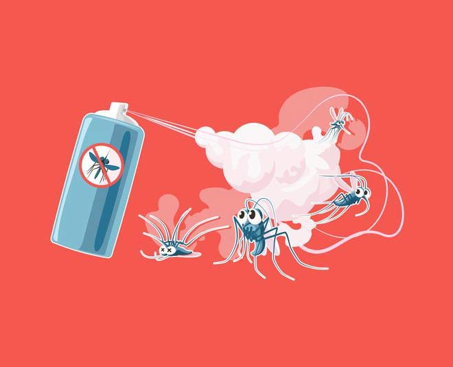 neem leaf natural insects spray inside