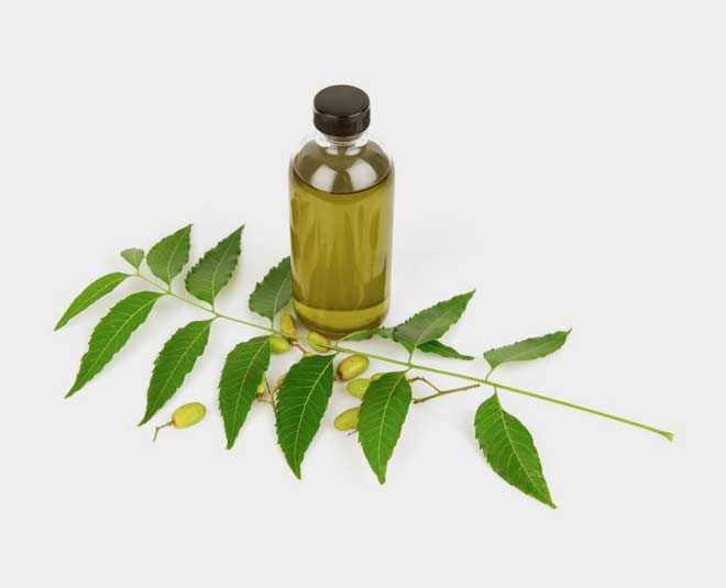 neem oil sprey tulsi