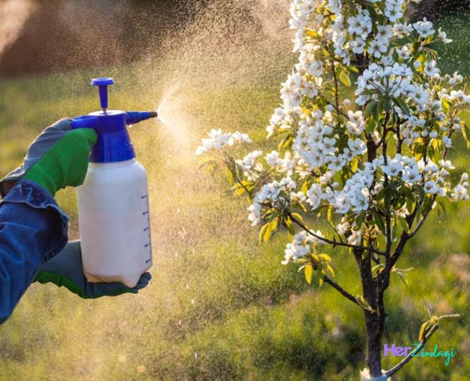pesticide for baking soda