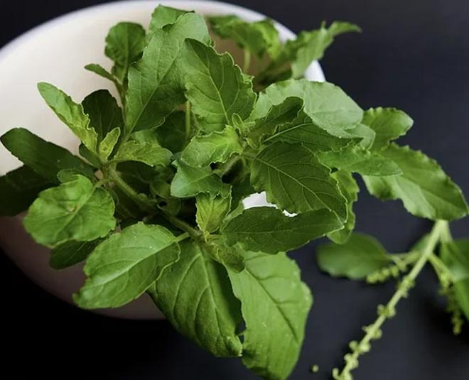 tulsi dal shaligram shila