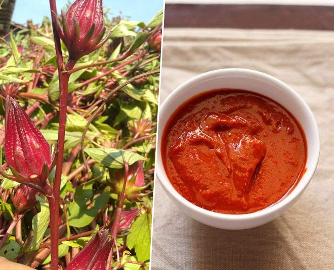 ambadi flower chutney recipes