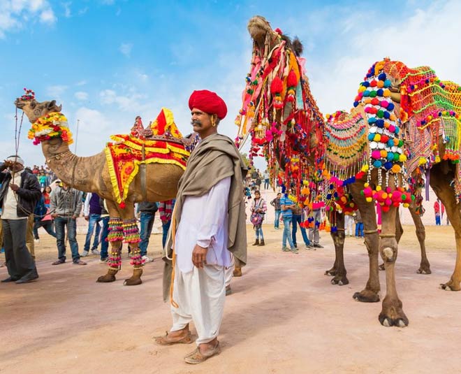 colourful rajasthan festivals pushkar fair