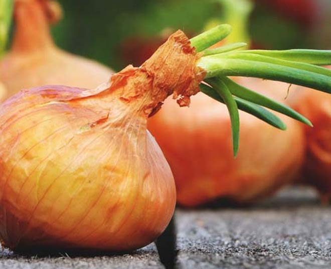keep onions from sprouting inside