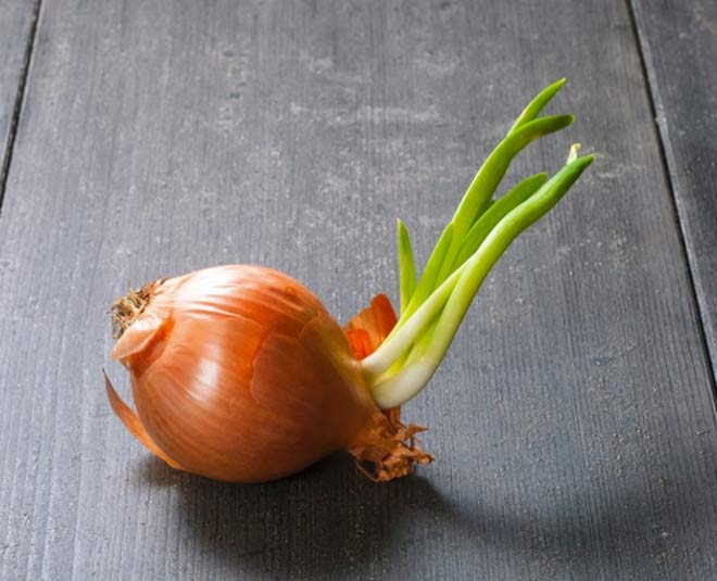 keep potatoes and onions from sprouting inside
