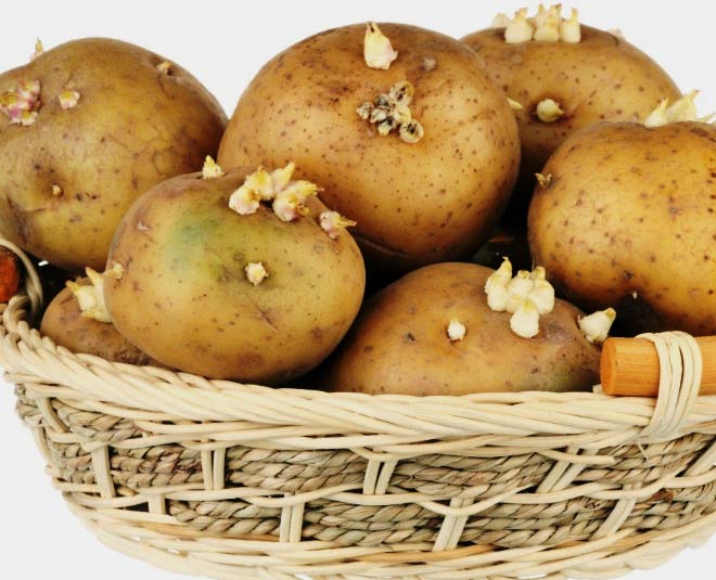 keep potatoes and onions from sprouting tips inside