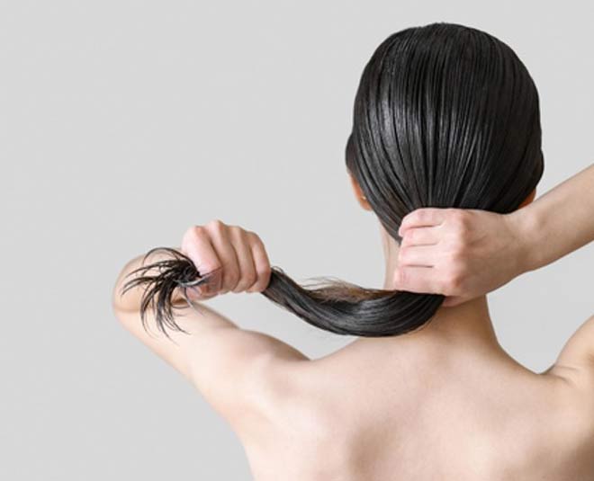 ratanjot benefits for hair benefits new tip