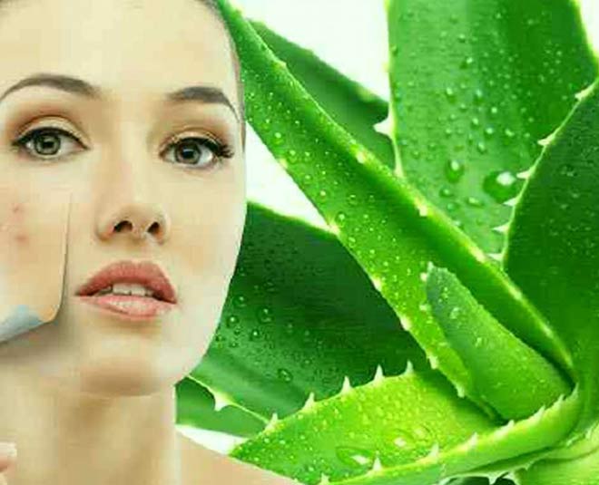aloe vera for skin INSIDE