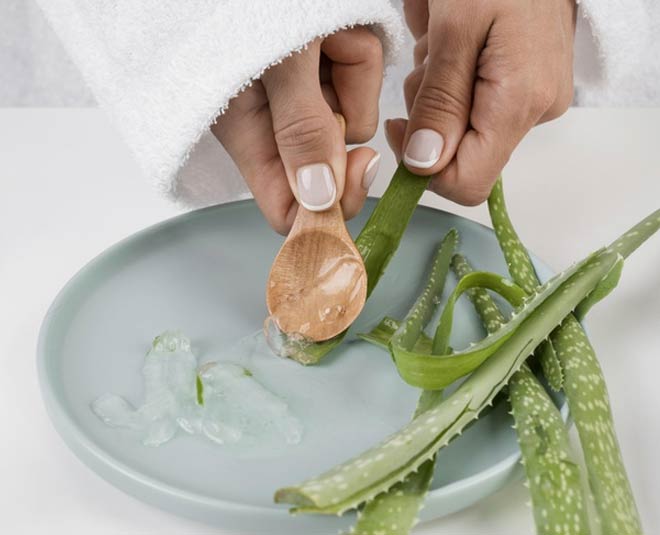 aloe vera gel uses in hindi