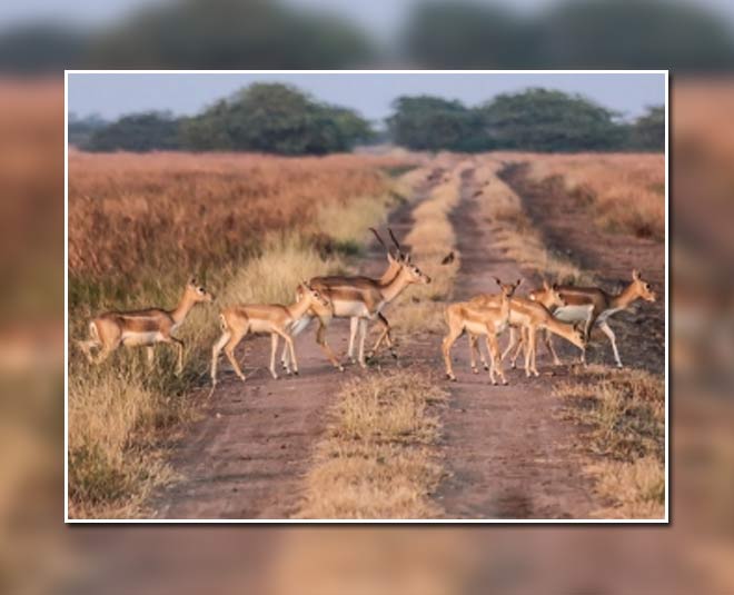 famous national parks in up inside