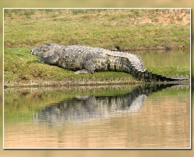 famous national parks in up inside