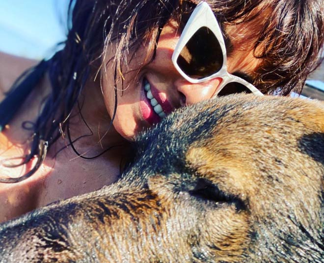 inside white cat sunglasses