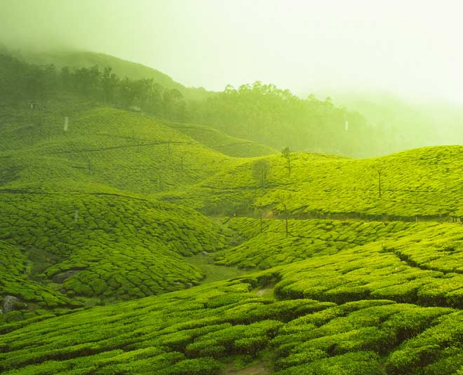 kerala evergreen city