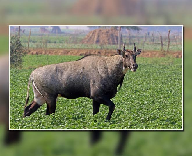 national parks in up inside