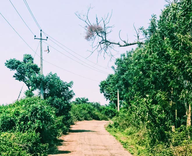 sanskritvillage south