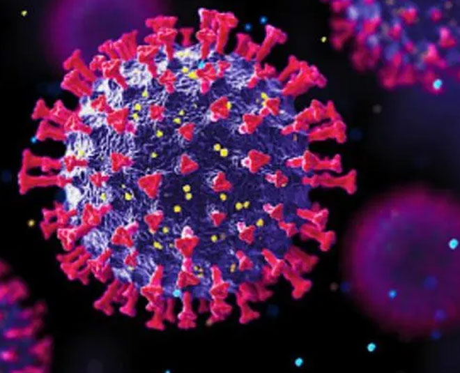 all about omicron new covid variant