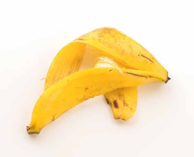 banana used in garden