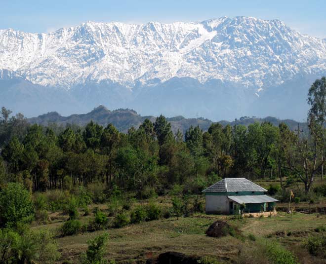 best places to visit in palampur himachal pradesh inside