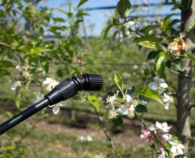 garden using for garden