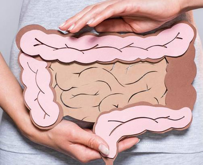 gut health management