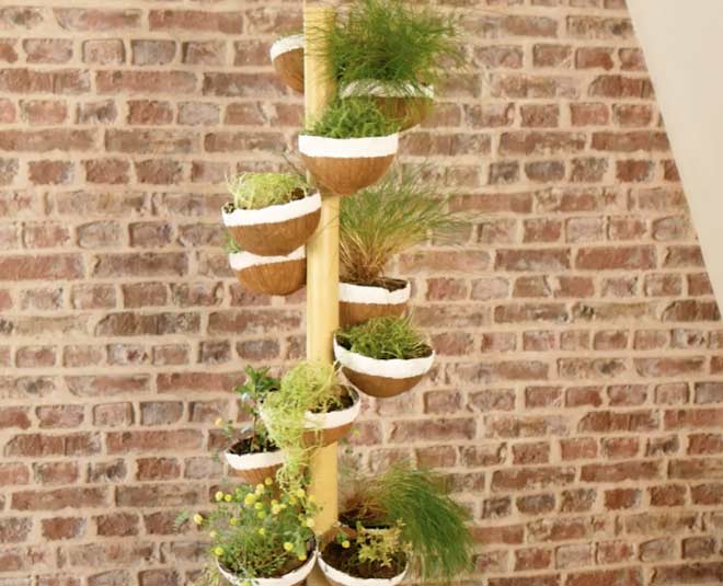 plant holder