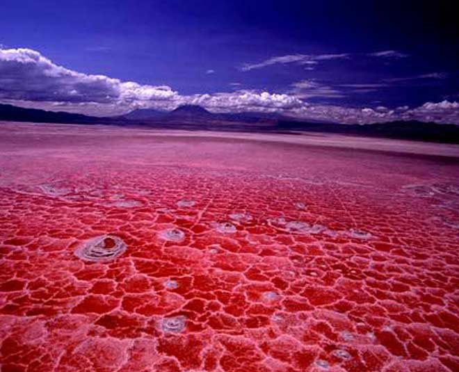 Lake Natron, Tanzania