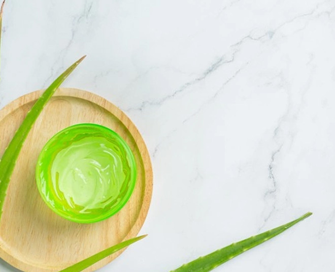 aleo vera benefits for oily skin